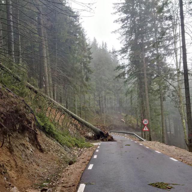 Dezastru pe Transrarău după o furtună în care vântul a suflat cu peste 100 km/h