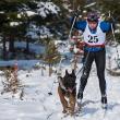 Salvamontiştii dorneni vor să „legitimeze” un câine de căutare pentru cazuri de avalanşă