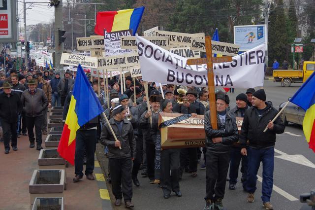 Protestul paşnic al forestierilor suceveni a degenerat într-o luptă corp la corp cu forţele de ordine