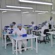 Peste 70 de salariaţi ai fabricii de seringi din Suceava au fost trimişi în şomaj
