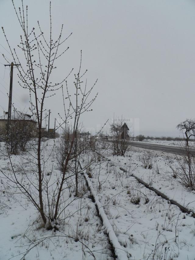 Cei 29 de kilometri de cale ferată de la Dorneşti la Putna nu au fost descompletaţi, dar  6500 de traverse trebuie schimbate