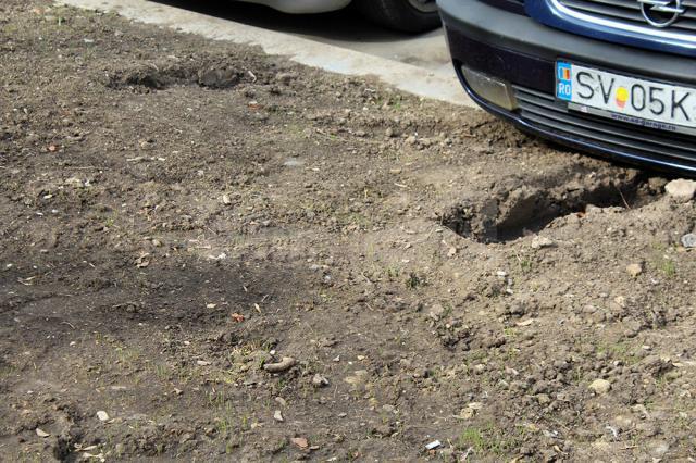 În faţa Prefecturii Suceava, un şofer a încălecat spaţiul verde, deşi avea suficient spaţiu de parcare
