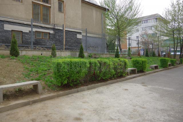 Colegiul „Ştefan cel Mare” a câştigat un proiect pentru amenajarea spaţiului verde din curtea instituţiei