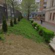 Colegiul „Ştefan cel Mare” a câştigat un proiect pentru amenajarea spaţiului verde din curtea instituţiei