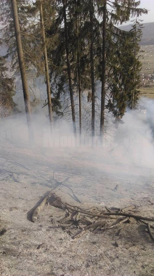 Un incendiu provocat intenţionat, aproape să afecteze pădurea din zona Dorna Candrenilor