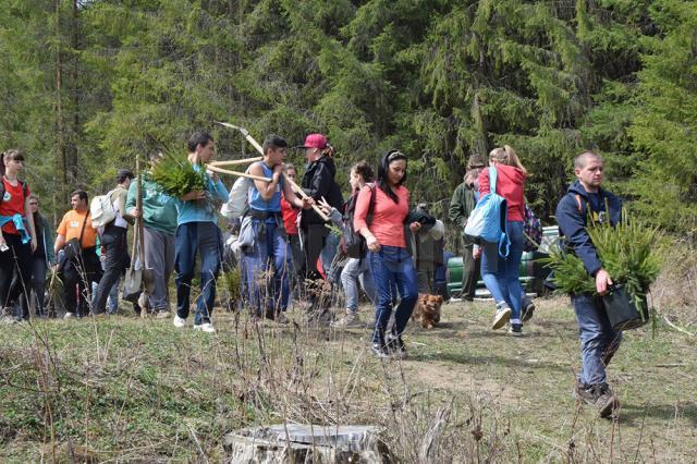 Voluntari din trei judeţe au plantat 12.000 de arbori la Valea Putnei
