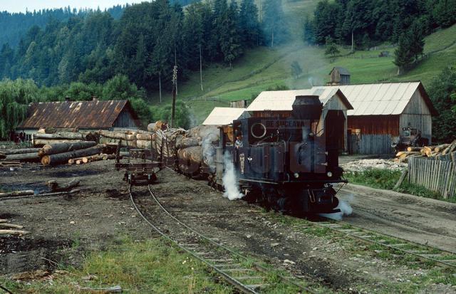 Fotografia făcută în 1997 arată exact zona pe care trebuie reconstruită linia îngustă pentru a ajunge în Gara CFR Moldoviţa