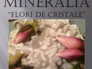 „Flori de cristale”, la Muzeul de Ştiinţele Naturii
