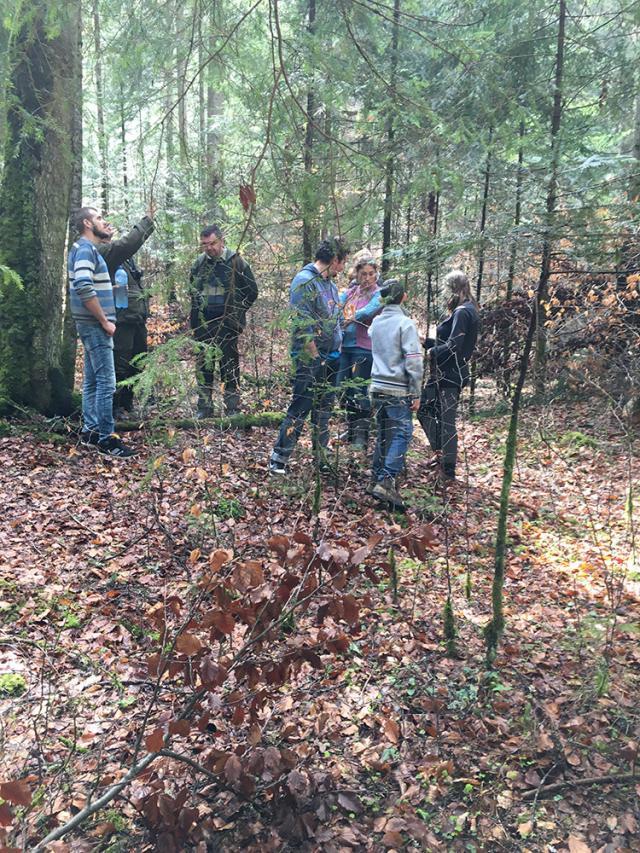 300 de puieţi plantaţi la Negrileasa de copiii Centrului de Plasament „Mihail şi Gavril” din Solca