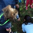 Elevi ai Şcolii „Jean Bart” au plantat puieţi de molid în cartierul Tinereţii