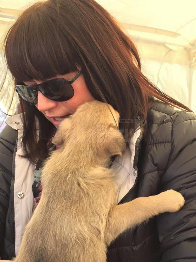 Prima ediţie a Târgului de adopţii de animăluţe, încununată de succes