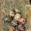 Ouă de Paşte vechi de peste 100 de ani, de la Câmpulung Moldovenesc