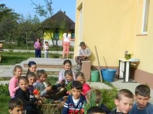 Activităţi de educaţie ecologică şi de protecţia mediului, la Cajvana