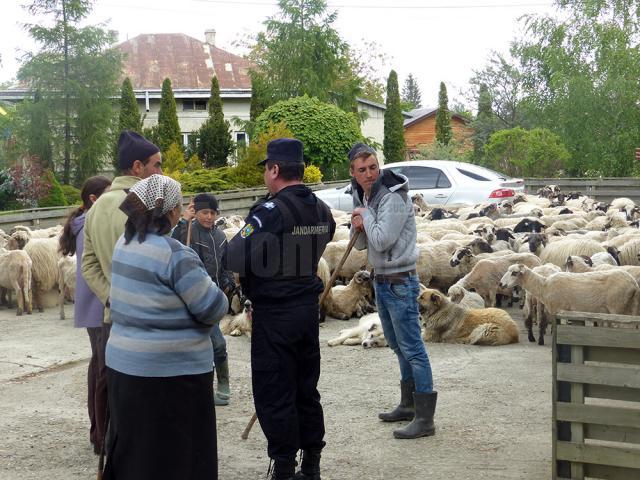 Jandarmii au încercat să aplaneze conflictul