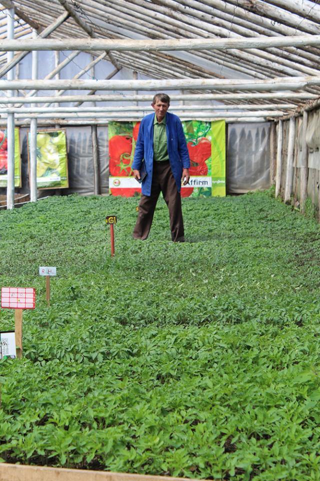 Un Gulliver sucevean in lumea liliputana a răsadurilor de plante