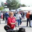 Rasa Tchiorny Terrier a fost prezentă pentru prima dată la „Bucovina Dog Show”