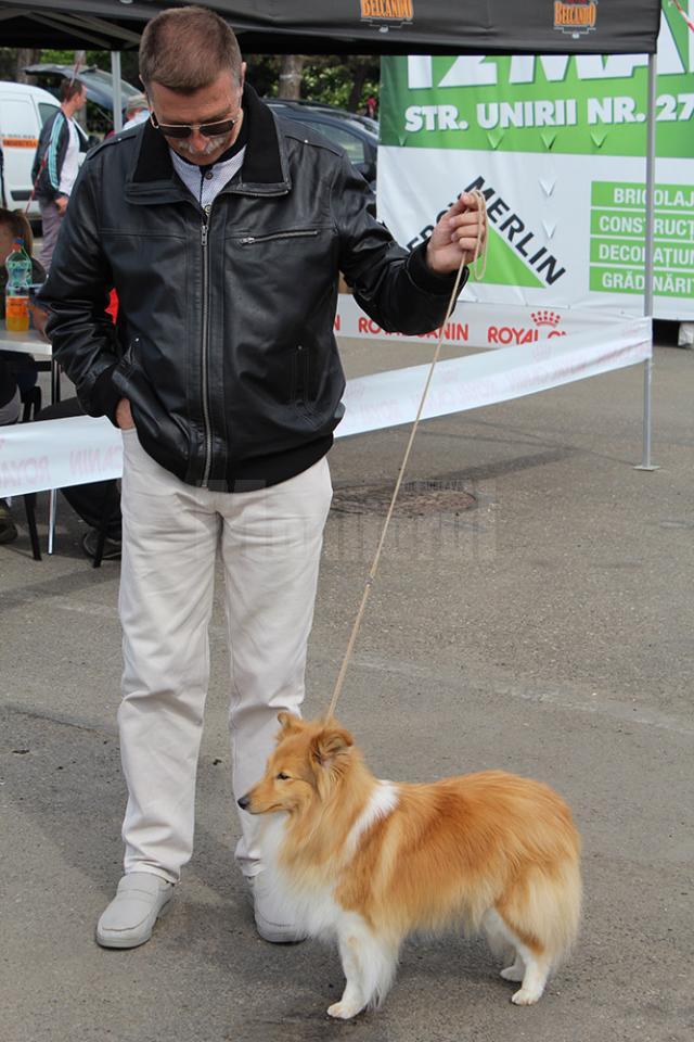 Sute de câini de rasă, admiraţi de 30.000 de spectatori, la cea de-a VIII-a ediţie a "Bucovina Dog Show"