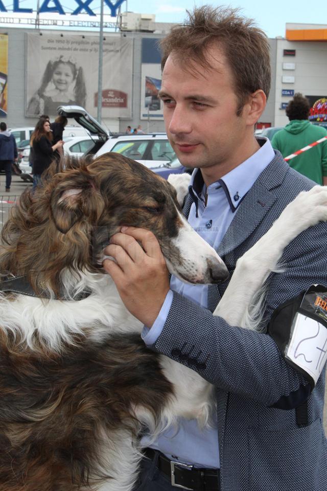 Sute de câini de rasă, admiraţi de 30.000 de spectatori, la cea de-a VIII-a ediţie a "Bucovina Dog Show"