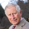 ASR Prinţul Charles al Marii Britanii, Patronul Regal al Fundaţiei  FARA