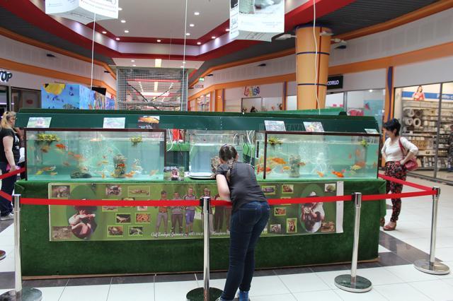 Expoziţie acvatică cu prădători de temut şi creaturi exotice, la Shopping City Suceava