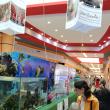 Expoziţie acvatică cu prădători de temut şi creaturi exotice, la Shopping City Suceava