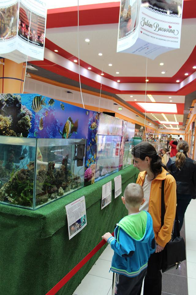 Expoziţie acvatică cu prădători de temut şi creaturi exotice, la Shopping City Suceava