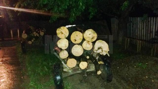 Două căruţe încărcate cu lemn proaspăt tăiat din pădure au fost confiscate de jandarmi duminică noapte