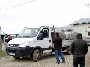 LACTALPINA SRL Vadu Moldovei a colectat cantităţi mari de lapte şi a rămas cu datorii neachitate de ani de zile faţă de fermieri