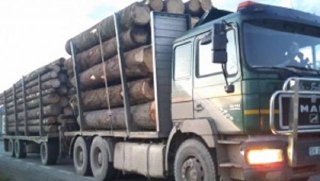 40 de metri cubi de lemn au fost confiscaţi în urma acţiunilor de control