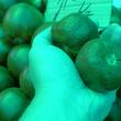 Cupola verde care distorsionează culoarea legumelor în Piaţa Centrală a Sucevei va fi schimbată