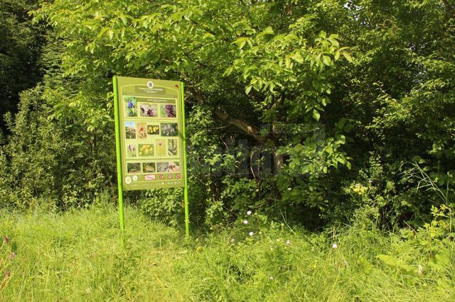 Ariile protejate de la Frumoasa şi Ponoare îşi spun povestea