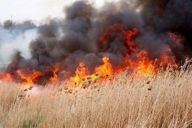 Numărul incendiilor de vegetaţie s-a înmulţit în ultima perioadă. Foto: monitorulbt.ro