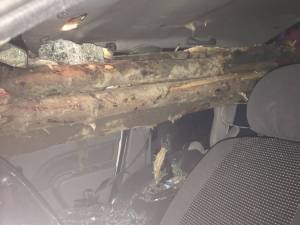 Maşina străpunsă de lemnele din căruţă