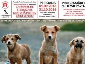 Campanie de sterilizare gratuită a câinilor fără stăpân