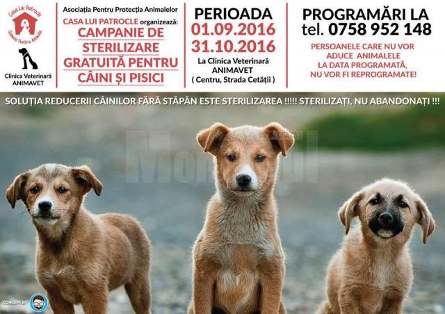 Campanie de sterilizare gratuită a câinilor fără stăpân