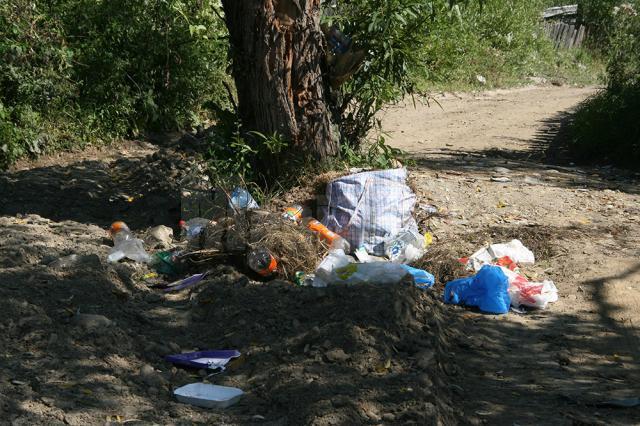 În ciuda camerelor video şi a panourilor de avertizare, deşeurile din Moldoviţa ajung în continuare pe malul râului