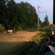 “Trenul de noapte” a ajuns în Gara Burdujeni cu un număr record de spectatori