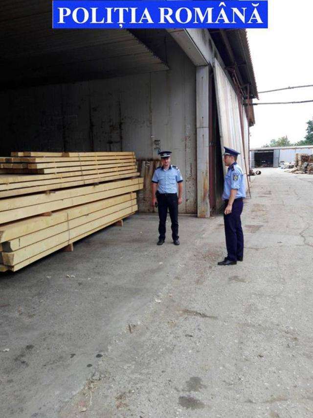Rezultatul afacerilor ilegale cu lemn la un gater: confiscări şi amenzi