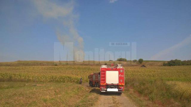 Pompieri intervenind pentru stingerea unui incendiu de vegetaţie uscată