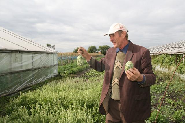 Fermierii s-au adunat pe terenurile fermierului Vasile Mătrășoaia, a cărui producţie de legume a ajuns recunoscută