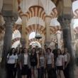 Elevii Colegiului Tehnic „Mihai Băcescu” au lucrat în hoteluri de patru stele din Granada