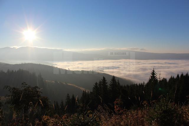 Nunta cerbilor, în Ţara Dornelor