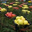 Producătorii au expus peste 32 de soiuri de mere