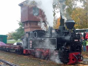 Locomotiva cu abur ”Bucovina” a fost admirată de toţi cei veniţi la târg