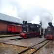 Cele două locomotive cu abur au fost principala atracţie a târgului din Lituania