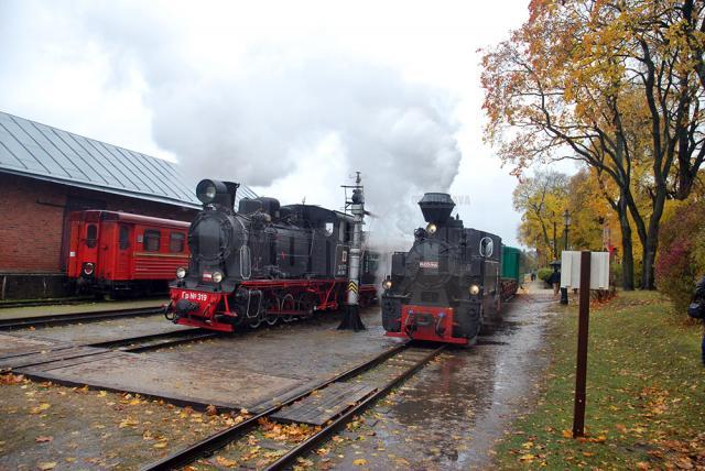 Cele două locomotive cu abur au fost principala atracţie a târgului din Lituania