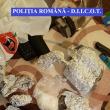 Reţea de traficanţi de droguri, vizată de 14 percheziţii în judeţele Suceava şi Mureş