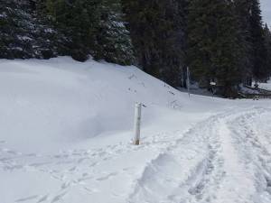 Zăpada căzută pe Rarău poate da mari bătăi de cap turiştilor