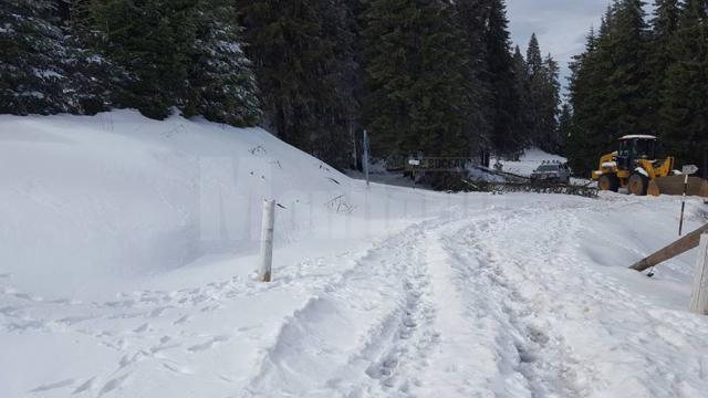 Zăpada căzută pe Rarău poate da mari bătăi de cap turiştilor