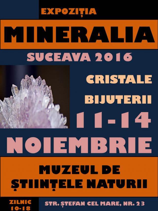 Cristale, pietre preţioase şi bijuterii, la Muzeul de Ştiinţele Naturii Suceava